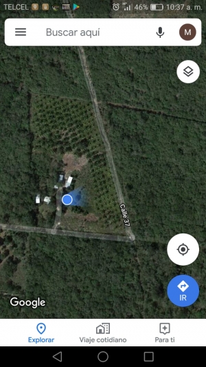 TERRENO UM&Aacute;N OPORTUNIDAD 5.5 HAS $4'125,000  (A $75/m&sup2;)