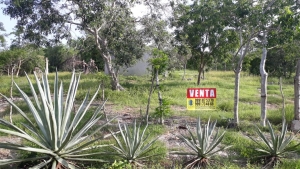 TERRENO SAN JOS&Eacute; KUCH&Eacute; 2,550 m&sup2; $1'785,000 ($700/m&sup2;)